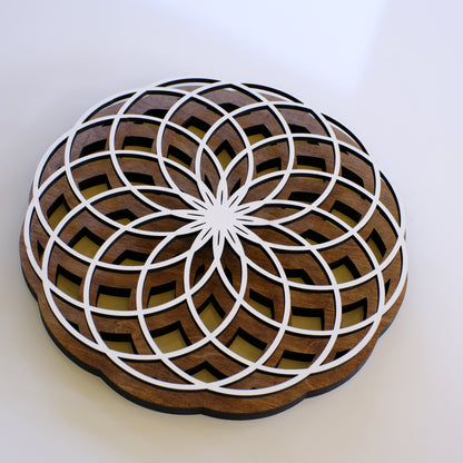 Torus Wall Art | sacred Geometry | Yoga Spiritual Art | Zen Decor