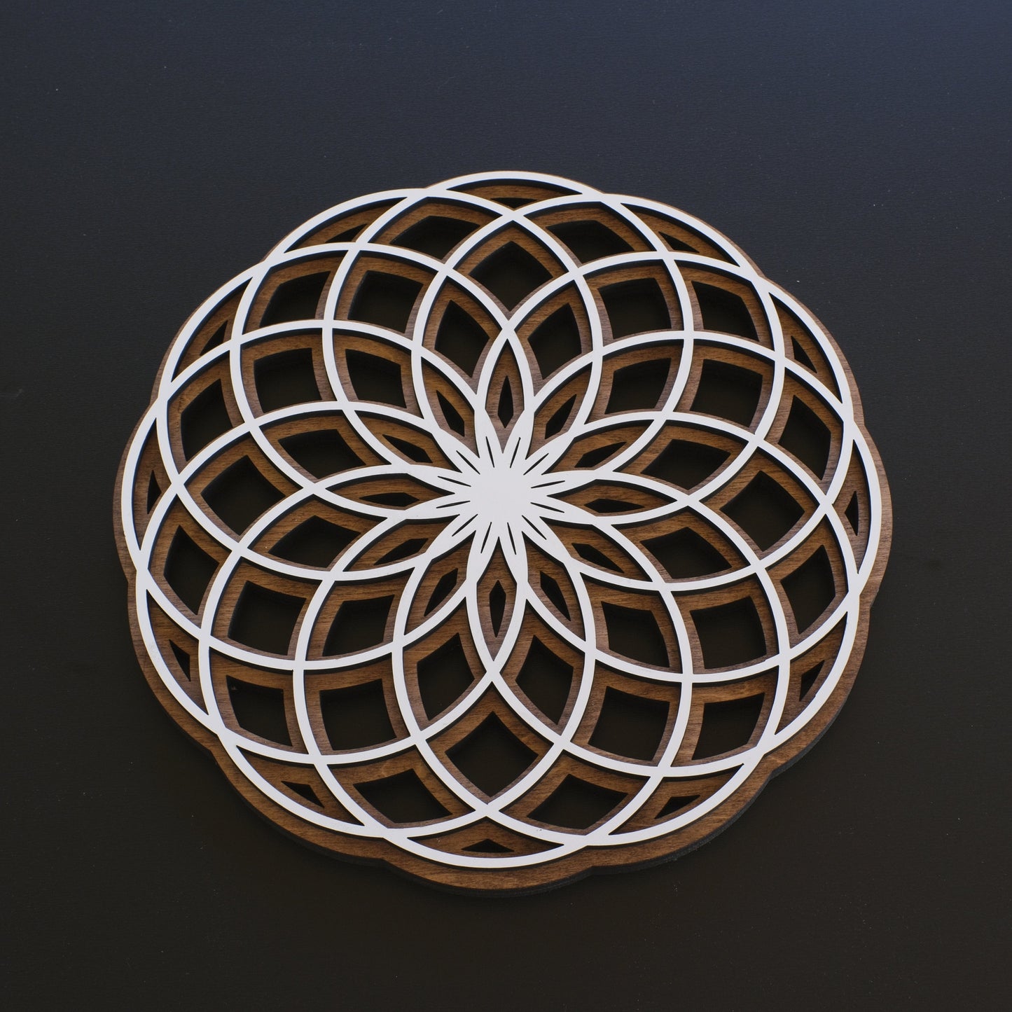 Torus Wall Art | sacred Geometry | Yoga Spiritual Art | Zen Decor