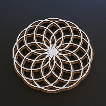 Torus Wall Art | sacred Geometry | Yoga Spiritual Art | Zen Decor