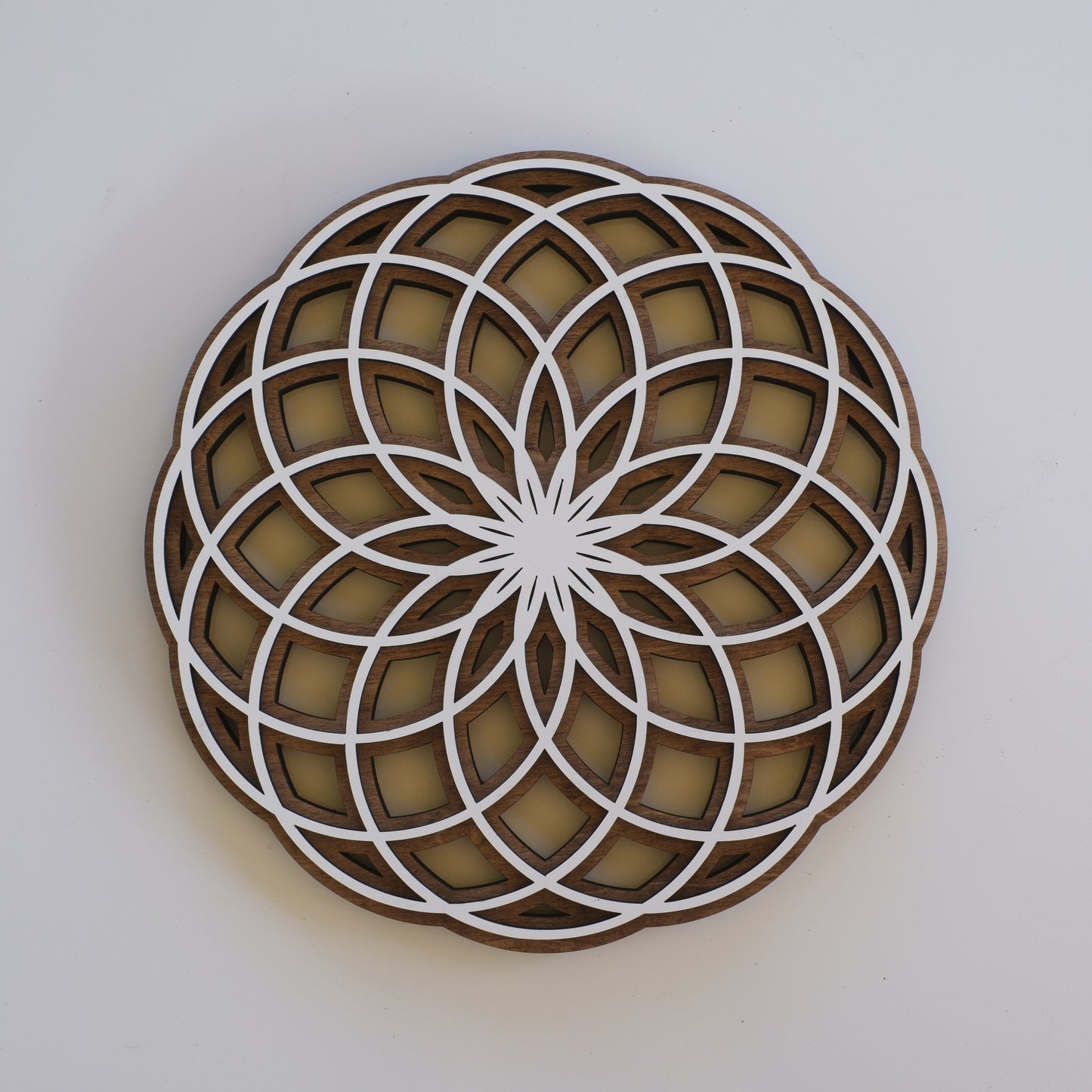 Torus Wall Art | sacred Geometry | Yoga Spiritual Art | Zen Decor