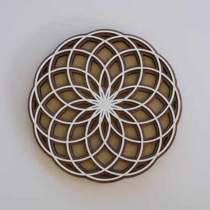 Torus Wall Art | sacred Geometry | Yoga Spiritual Art | Zen Decor